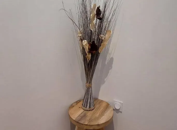 Feriehus La Maison Du 19 - 130m2 - Sur Loire - Climatisees